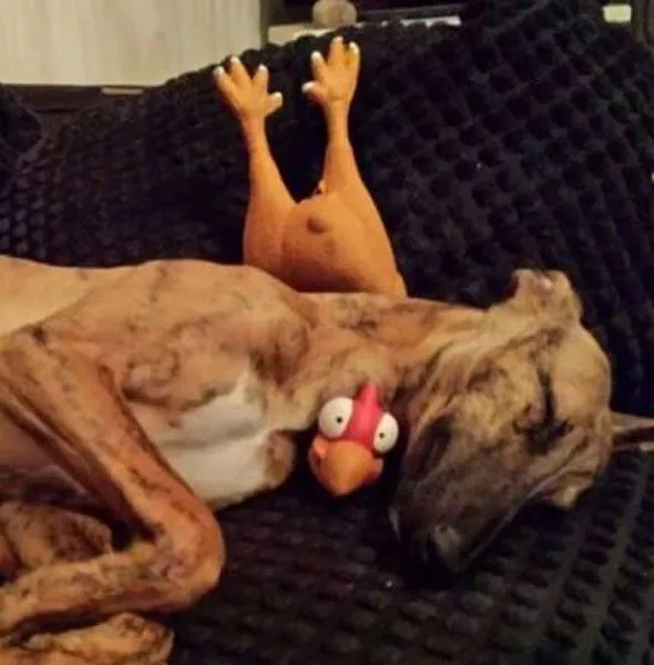 Picdump 216 - #74 