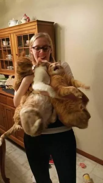 Picdump 216 - #88 