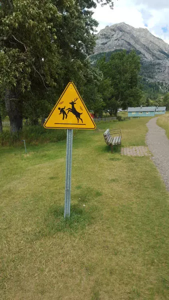 Picdump 217 - #21 