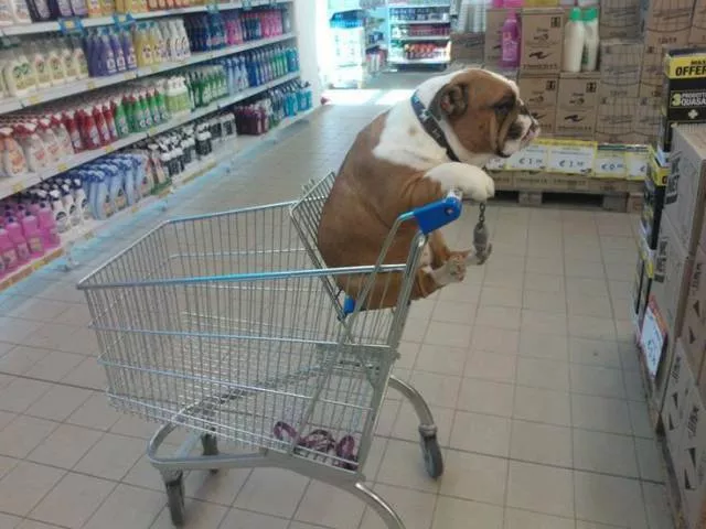 Picdump 217 - #28 