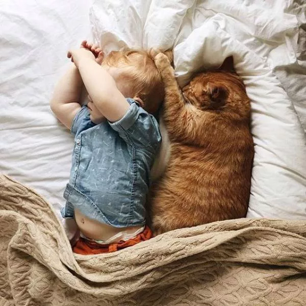 Picdump 217 - #39 