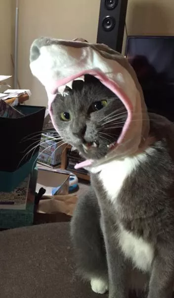 Picdump 218 - #43 