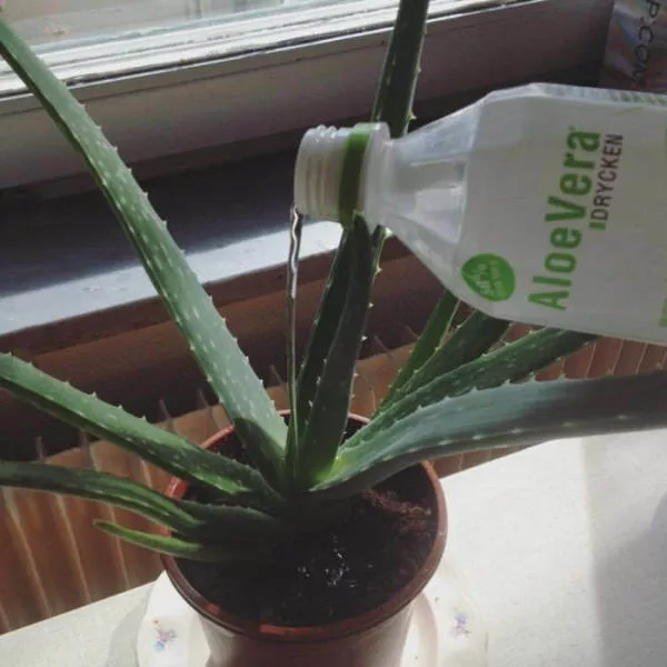 Picdump 219 - #24 