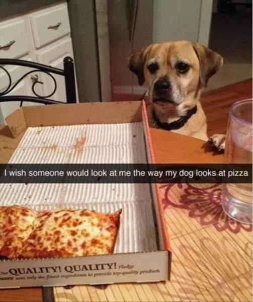 Picdump 219 - #45 