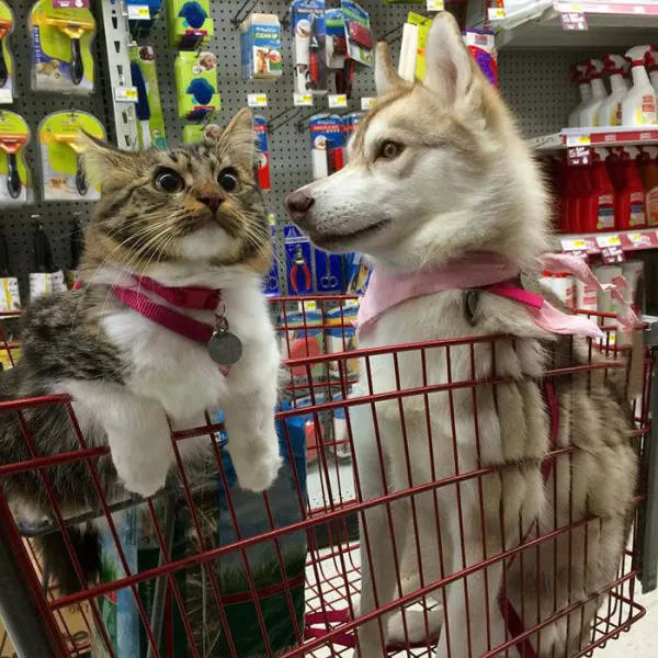 Picdump 28 - #14 