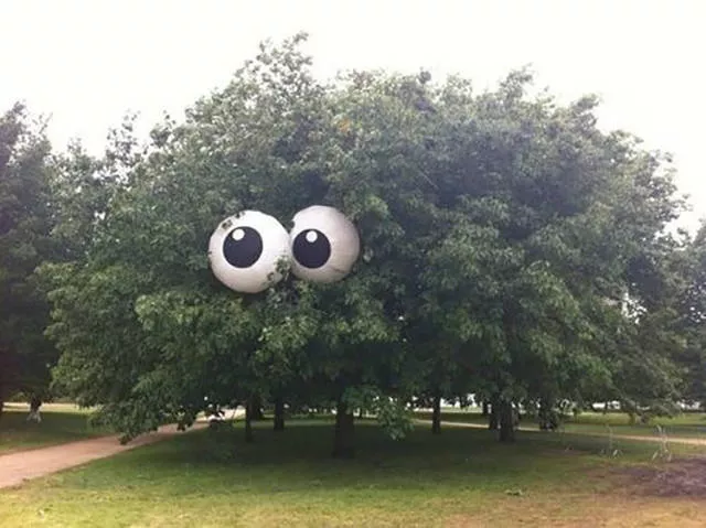 Picdump 28 - #27 