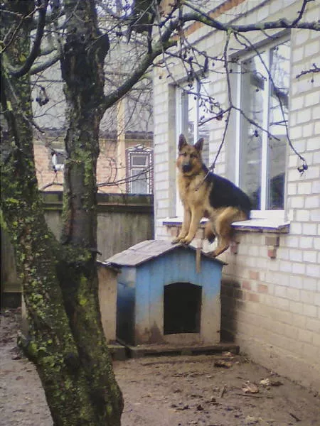 Picdump 28 - #28 
