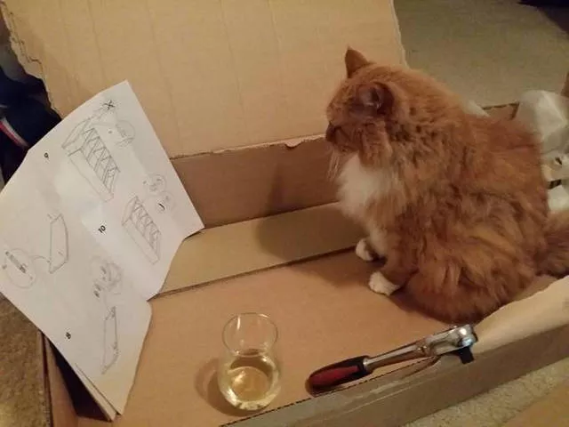 Picdump 28 - #3 