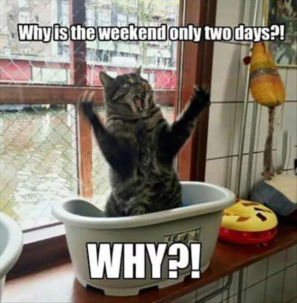 Picdump 28 - #31 