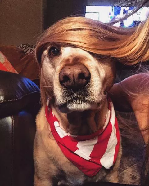 Picdump 28 - #41 