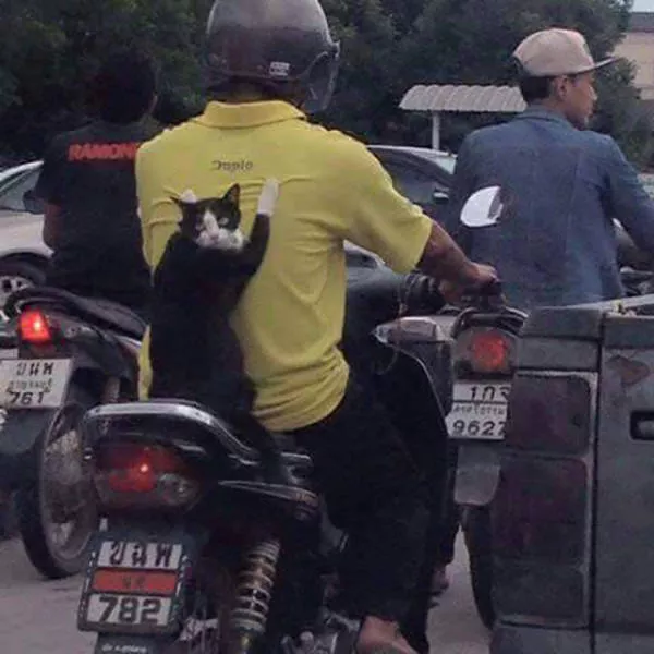 Picdump 28 - #8 