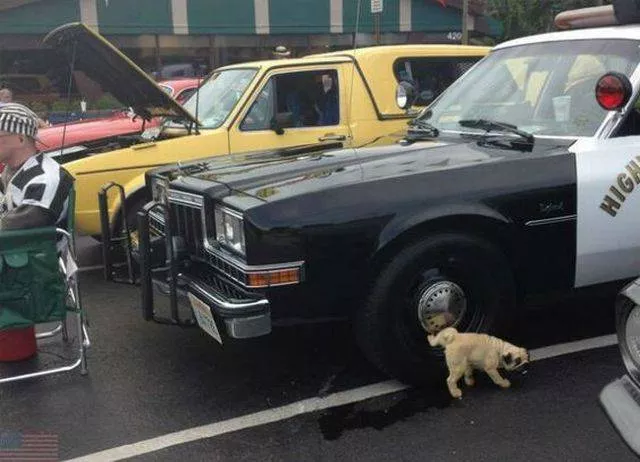 Picdump 220 - #1 