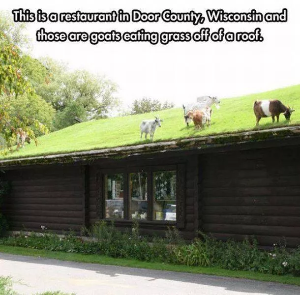Picdump 220 - #28 