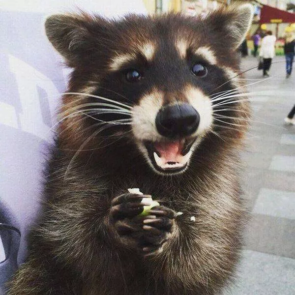 Picdump 220 - #56 