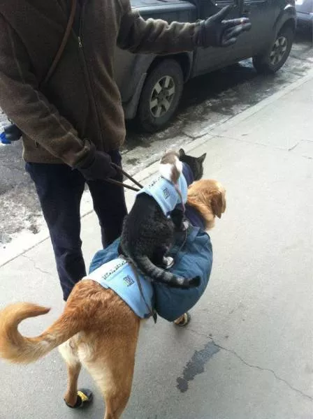 Picdump 220 - #62 