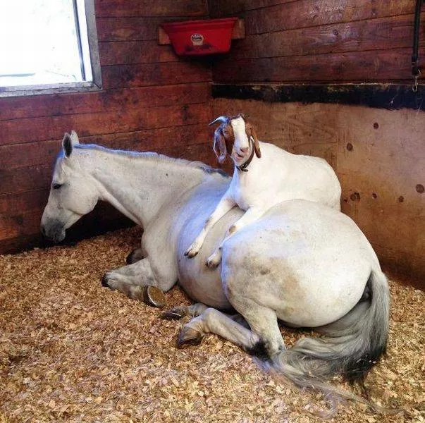 Picdump 220 - #74 