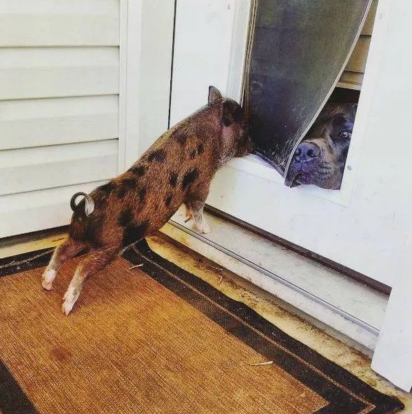 Picdump 220 - #78 