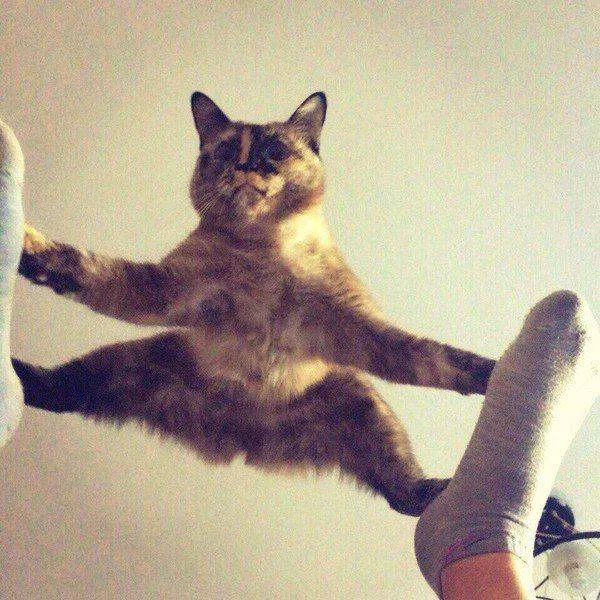 Picdump 220 - #84 