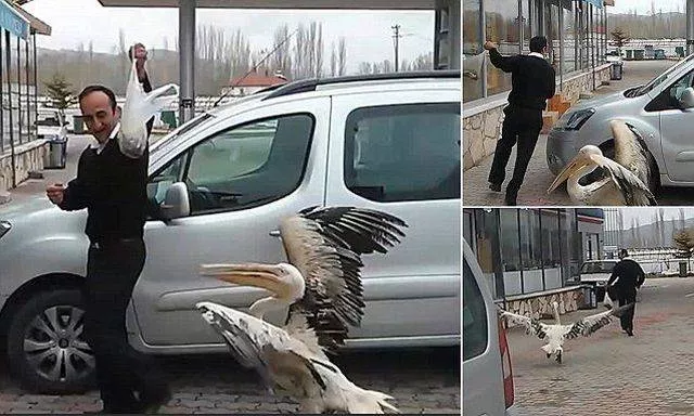 Picdump 220 - #88 