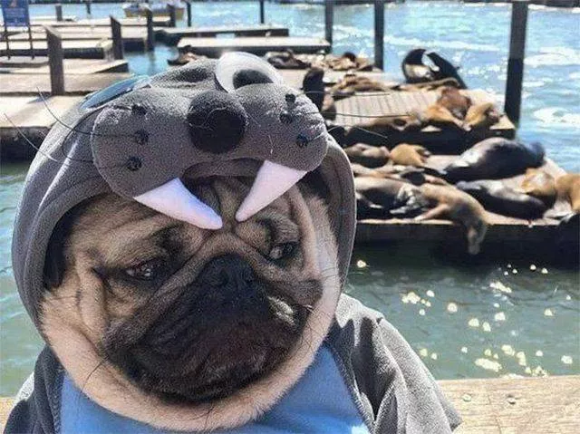 Picdump 220 - #94 