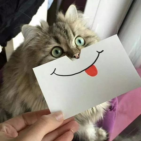 Picdump 221 - #10 