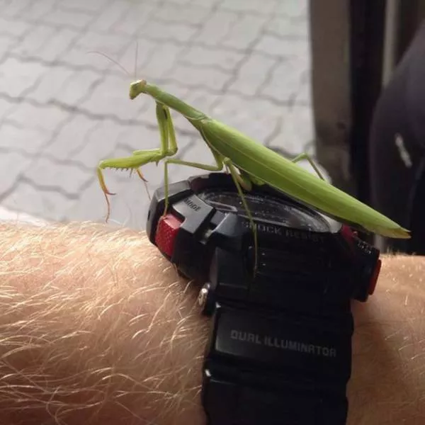 Picdump 221 - #11 