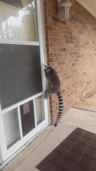 Picdump 221 - #43 