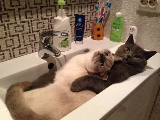Picdump 221 - #44 