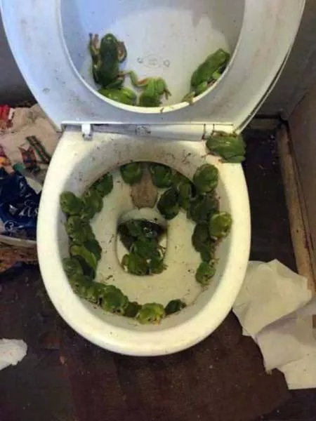 The best collection of impressive photos - #11 