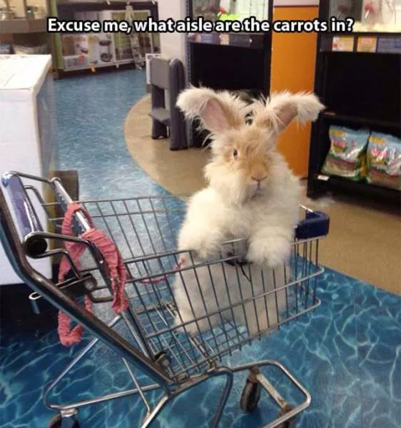 The best collection of impressive photos - #14 