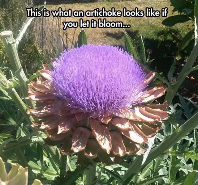 The best collection of impressive photos - #15 