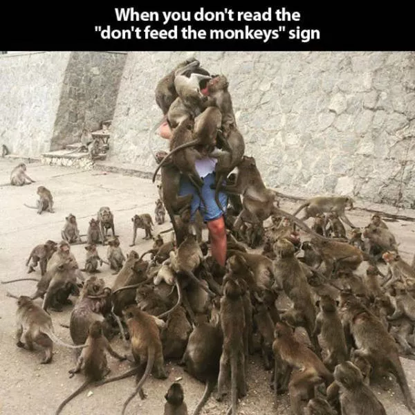 La meilleure collection des photos impressionnants