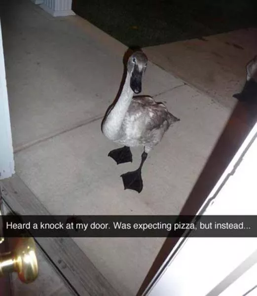 The best collection of impressive photos - #21 