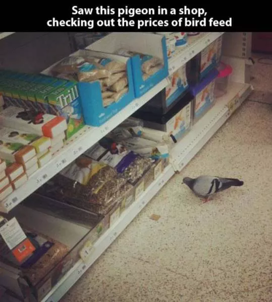 The best collection of impressive photos - #34 