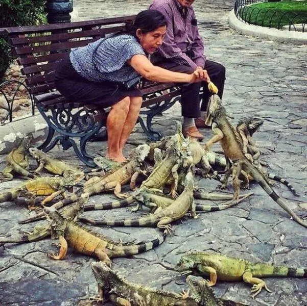 The best collection of impressive photos - #42 