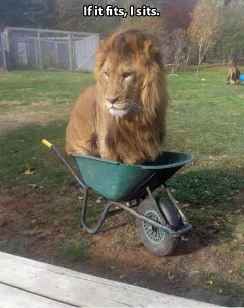 The best collection of impressive photos - #49 