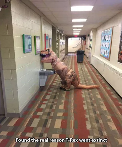 The best collection of impressive photos - #50 