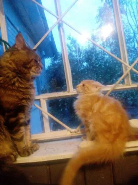 Picdump 223 - #11 