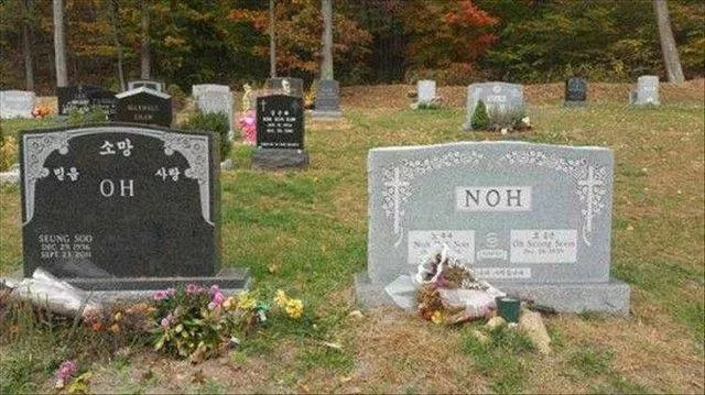 Picdump 223 - #24 