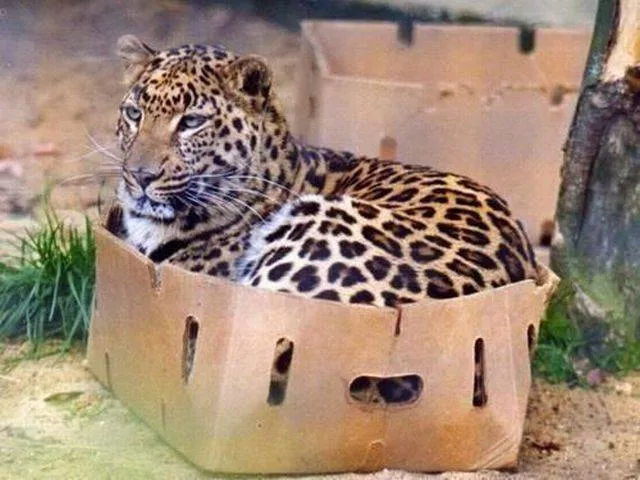 Picdump 223 - #29 
