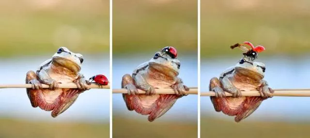 Picdump 223 - #32 