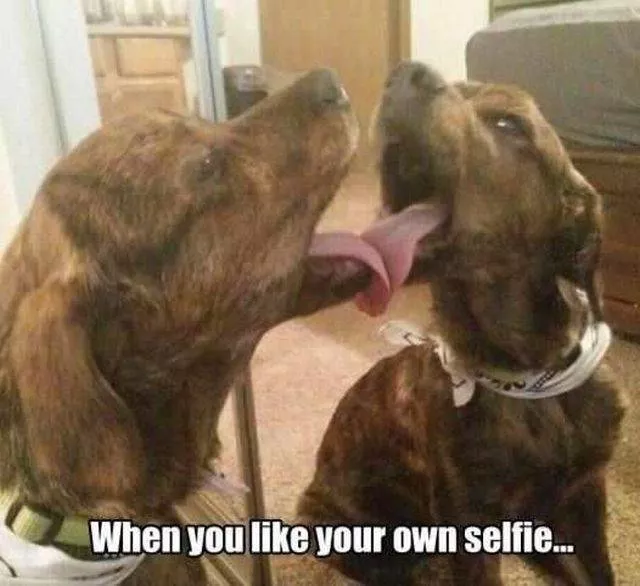Picdump 223 - #40 