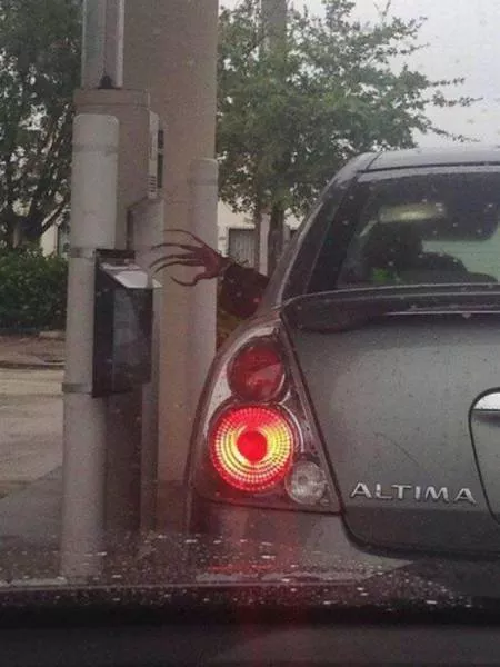 Picdump 223 - #43 