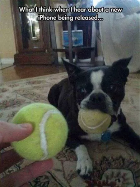Picdump 223 - #46 