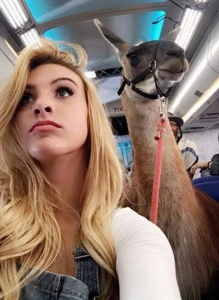 Picdump 223 - #61 