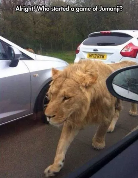 Picdump 223 - #71 