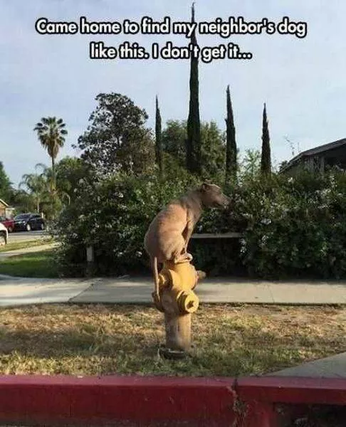 Picdump 223 - #75 