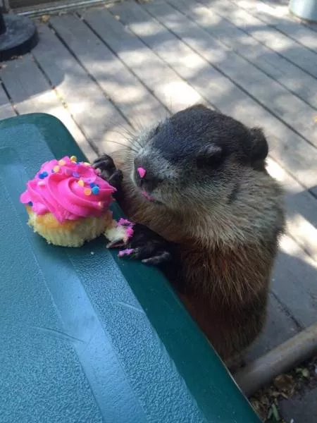 Picdump 223 - #80 