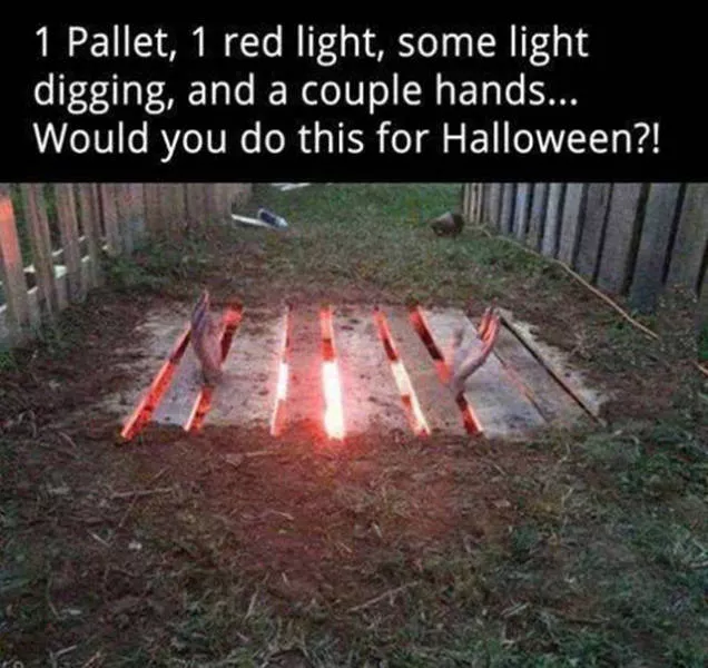 Picdump 224 - #17 Picdump 224 - #17
