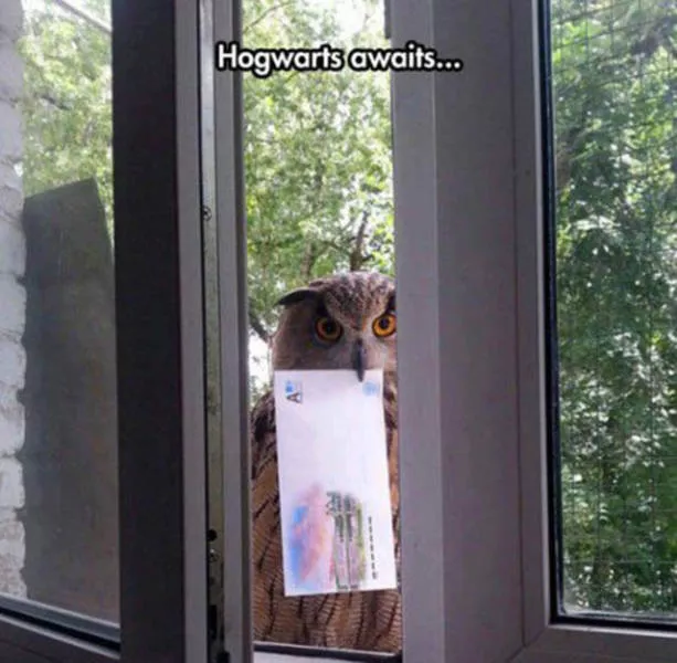 Picdump 224 - #24 Picdump 224 - #24